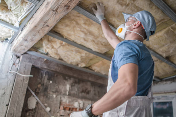 Best Cellulose Insulation in Lake Don Pedro, CA