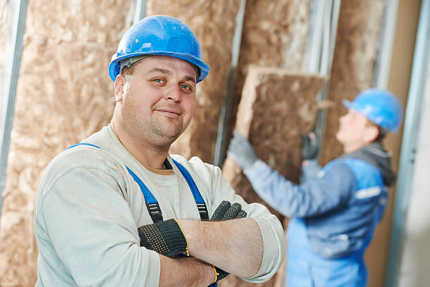 Best Eco-Friendly Insulation in Lake Don Pedro, CA